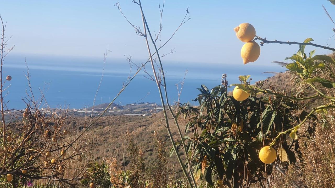 Finca Esperanza Costa Del Sol Sayalonga Buitenkant foto